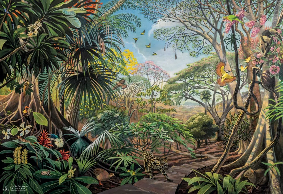 Jardim Botânico de Cartagena "Guillermo Piñeres", Cartagena