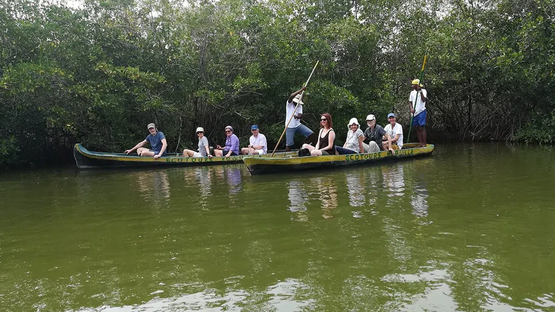 Canoas de mangue em La Boquilla, Cartagena