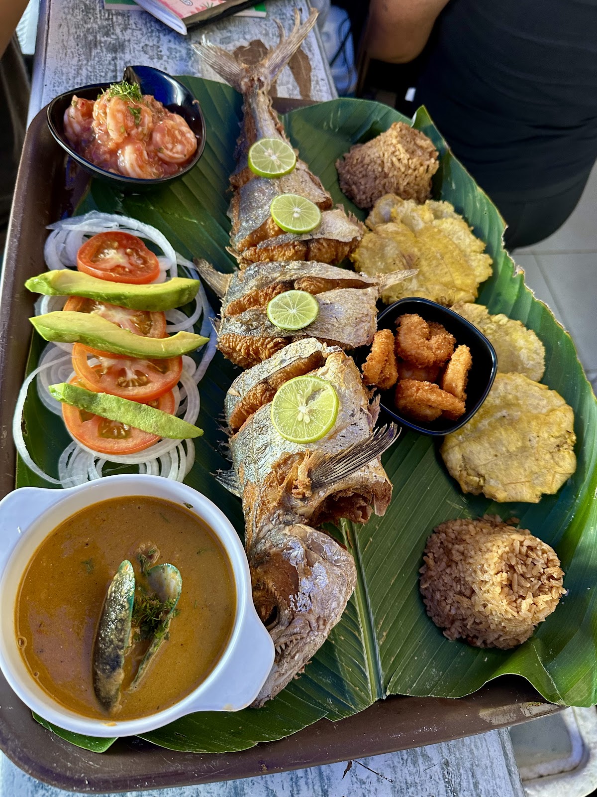 Quero Criollo, Cartagena