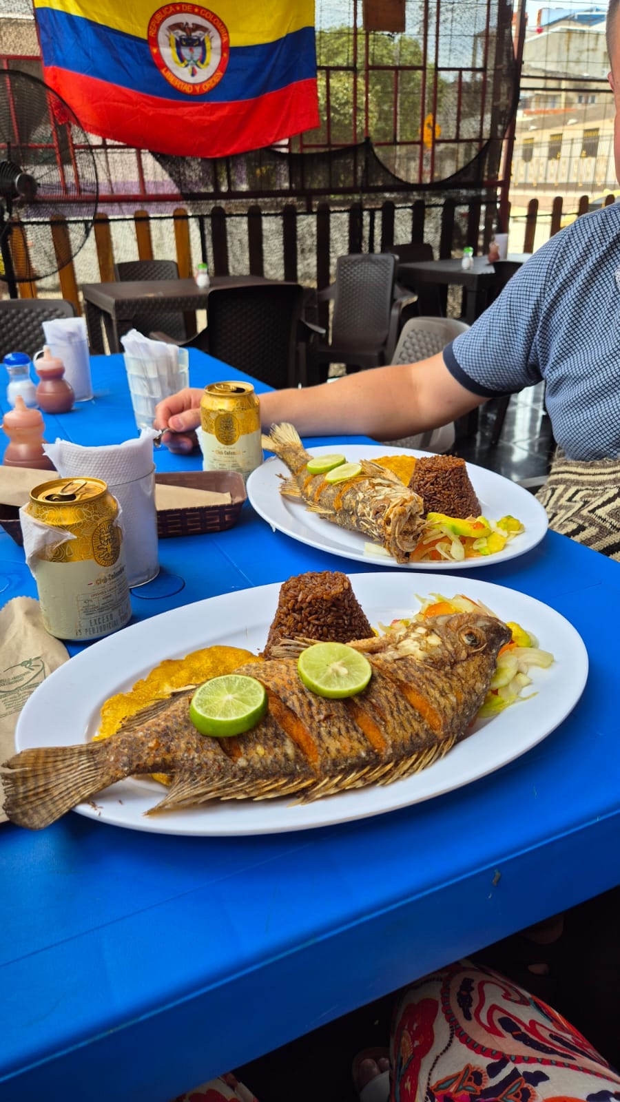 Quero Criollo — photo 3