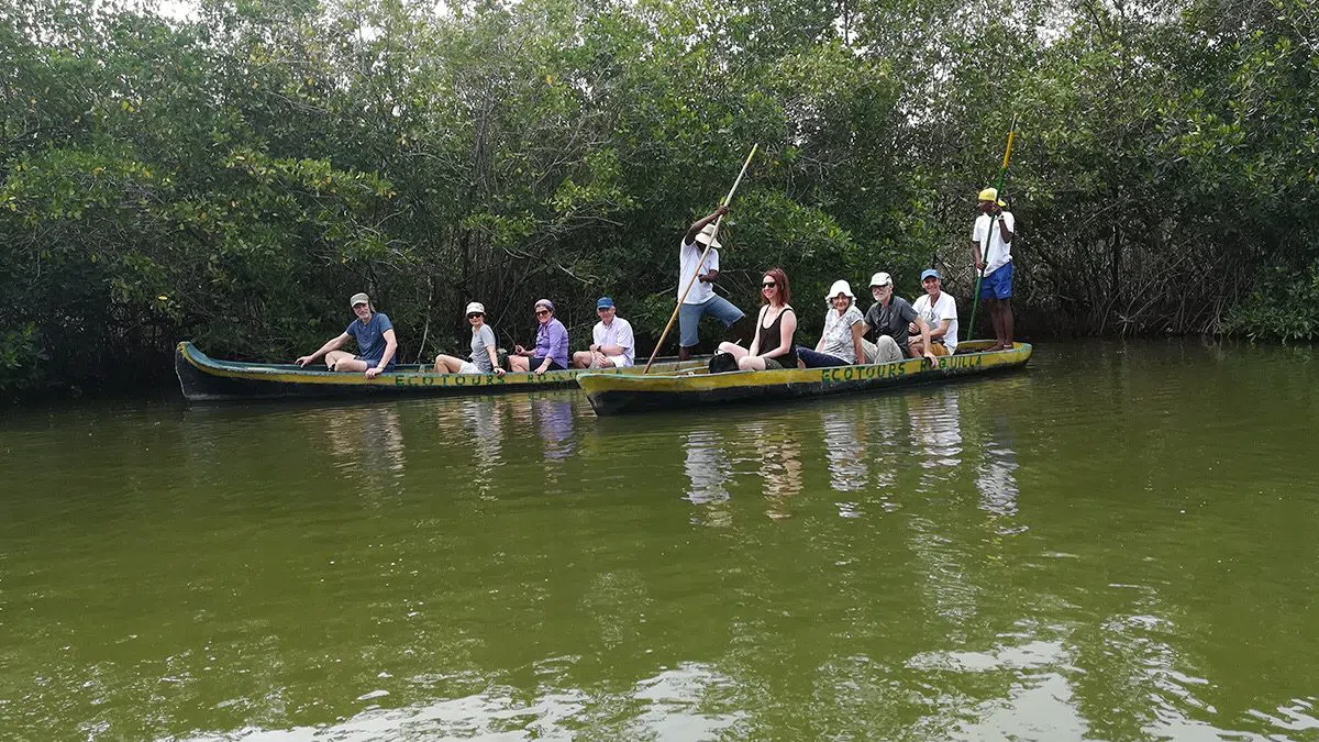 Ecotours Boquilla, Cartagena